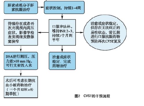 2張流程圖策略 高效解析腦靜脈系統血栓形成的診治關鍵